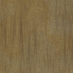 Grungy Wood Texture: 