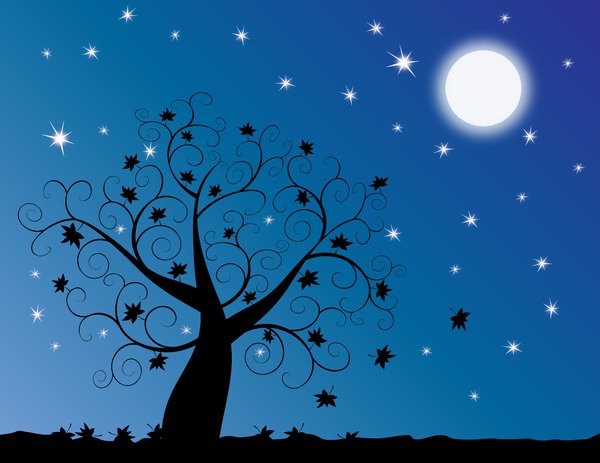 Moonlit Baum: 