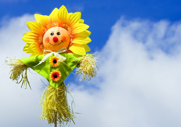 Cute Scarecrow: A cute windowbox scarecrow against a summer sky with fluffy clouds.  Lots of copyspace.