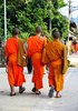 Birds of a feather..: ..flock together- Same, same but different- Buddhist monks- Laos-