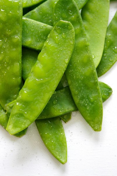 Mangetout: Green mange tout freshly washed against a white background