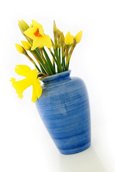 Daffodil Vase: A blue ceramic vase withfreshly cut daffodils