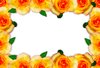 Floral Border  15: Floral border on blank page. Lots of copyspace.