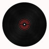 Vinyl Record: An old fashined vinyl record. Space to add your own label.