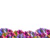 Flower Wave: A wave or border of colourful spring flowers. Great for notes, cards, gardening sites, spring or summer images, frames, etc.