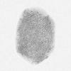 Fingerprint 5: 