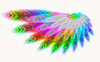 Rainbow Wing 1: A magical, fantasy wing in rainbow colours on a white background. You may prefer:  http://www.rgbstock.com/photo/mqppEd4/Angel+Light  or:  http://www.rgbstock.com/photo/ms6WZhM/Cutout+Foil+Butterfly