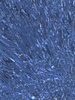Foil 2: A blue foil texture. You may prefer:  http://www.rgbstock.com/photo/2dyVapI/Textured+Gold+Paper  or:  http://www.rgbstock.com/photo/o4Qdk3e/Hi-Res+Metallic+Background+3