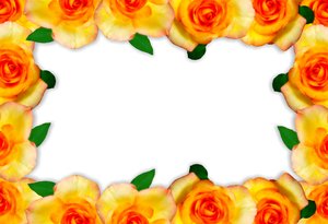 Floral Border  15: Floral border on blank page. Lots of copyspace.
