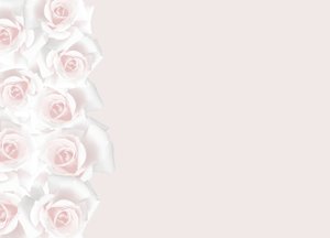 Floral Border 31: Floral border of pink and white roses on blank page. Lots of copyspace.
