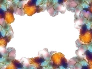 Beautiful Floral Border: Floral border on blank page. Lots of copyspace. Made from a photo I took of cannas.