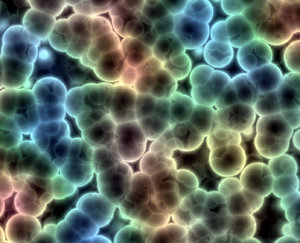 Bacteria 1: Graphic representing bacteria viewed on a slide,  blood cells, or other microscopic details. You may prefer:  http://www.rgbstock.com/photo/nze1njq/Bacteria  or:  http://www.rgbstock.com/photo/n0eJLuA/Red+Blood+Cells+1