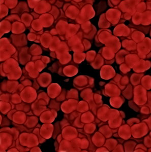 Red Blood Cells 1: Lots of red blood cells. Couldn't get the shape quite as I wanted it to be, but I think this makes a fair illustration anyway.