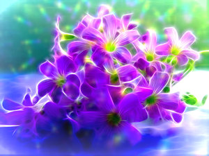 Fractal Flowers: A posy of fractal flowers with a light effect. This would make a nice get well, birthday, note or Mothers Day card.