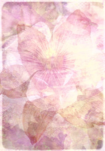 Textured Floral Collage 5: Pretty, old fashioned colours and floral shapes on a textured canvas. You may prefer this: http://www.rgbstock.com/photo/nVCkkUy/Textured+Floral+Collage+3  or:  http://www.rgbstock.com/photo/nVC9BGc/Nasturtium+Abstract+7