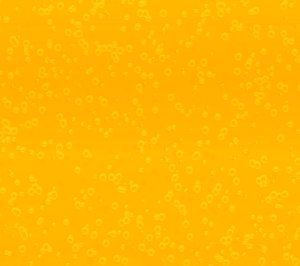 Bubbly Background Yellow: Effervescent, bubbly background, texture or fill.