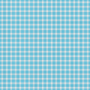 Blue Gingham 2: A blue gingham background, fill or texture. You may prefer this:  http://www.rgbstock.com/photo/mijmBVo/Blue+Gingham  or this:  http://www.rgbstock.com/photo/o1bqf5W/Blue+Plaid