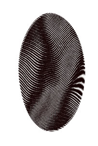 Fingerprint 2: 
