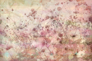 bloemen collage 4: 