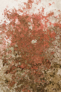 Rusted Background 5: A rusty, flaky metallic  background, texture or fill. Very high resolution. You may prefer this:  http://www.rgbstock.com/photo/nIFQ1nM/Rusted+Metal+Plate  or this:  http://www.rgbstock.com/photo/o2Eo5Z6/Rusted+Background+3