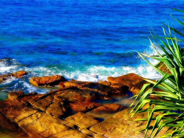 Beautiful Shore: Waves splash against flat rocks on the Queensland coast.