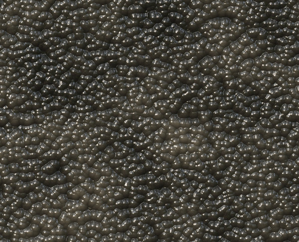 Caviar: Caviar graphic. Also a very useful texture.