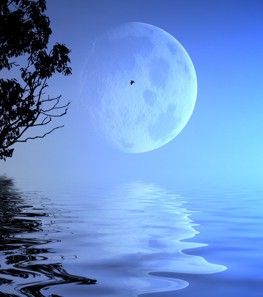 Giant Moon Over Water: A giant moon in the evening sky, reflected in calm water. Sillouhette of tree branches and bird. You may prefer:  http://www.rgbstock.com/photo/2dyW3qT/Blue+Planet  or:  http://www.rgbstock.com/photo/dKToB8/Romantic+Moon