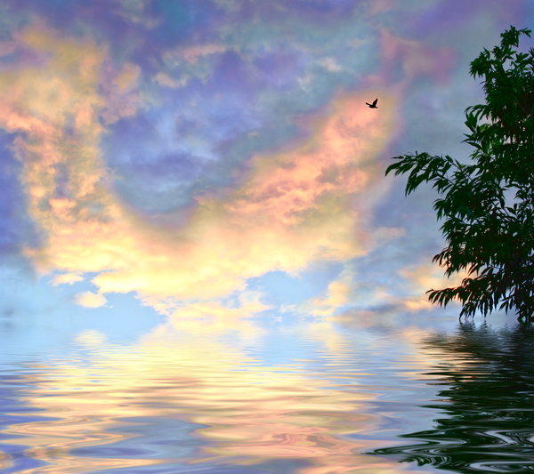 Rainbow Skies over Water 1: Rainbow coloured clouds reflected in water, with a bird flying, and a tree to border. Would make a great background or illustration. Large file size.