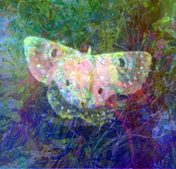 Vivid Fantasy Collage 6: A bright collage of natural shapes that are pleasing to the eye. This one features a butterfly. Perhaps you would prefer this: http://www.rgbstock.com/photo/nNTVSho/Dreamy+Pastel+Background+3
