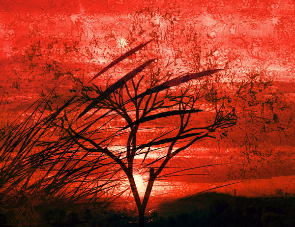 Landscape Collage 1: A collage of landscape images and a sunset. Dramatic red and black makes this spectacular.