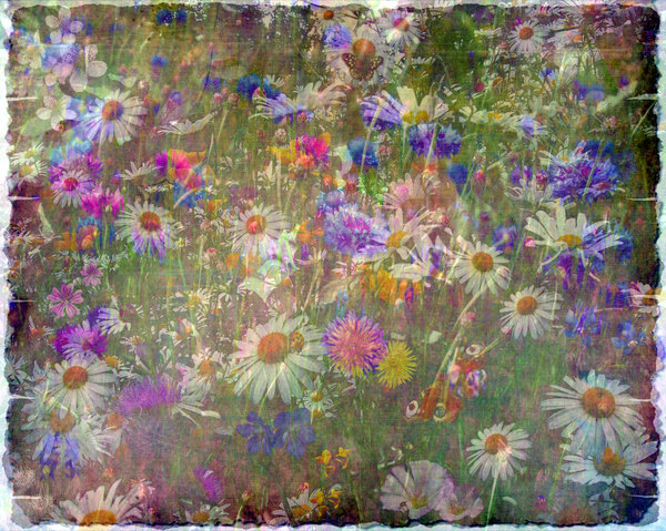 Wildflower Collage 3: A grungy collage of wildflowers made from public domain images, with a canvas texture. You may prefer these: http://www.rgbstock.com/photo/nU9Llsq/Leafy+Collage+2  or  http://www.rgbstock.com/photo/nTCGQ2G/Victorian+Border