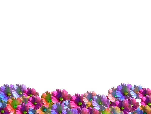 Flower Wave: A wave or border of colourful spring flowers. Great for notes, cards, gardening sites, spring or summer images, frames, etc.