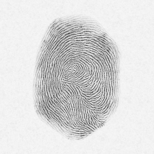 Fingerprint 5: 