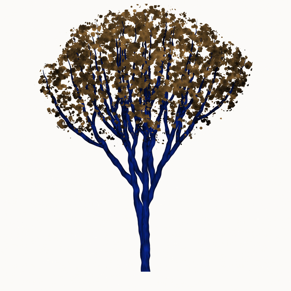 Leafy Tree Graphic 3: A graphic of an isolated leafy tree against a white background.