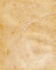 Old, aged paper / parchment 1: Several high-resolution textures of old, aged paper or parchment, with and without borders, both slightly torn and plain. Suitable as a background for faux-old texts and documents