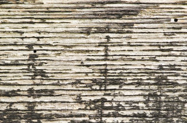 Cracked wood texture: 
