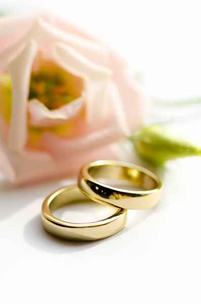 Golden wedding rings: Two wedding rings on a white background with soft pink flower