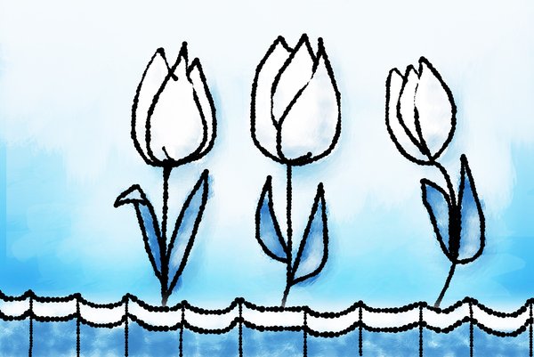 three tulips: Three Dutch tulips illustration